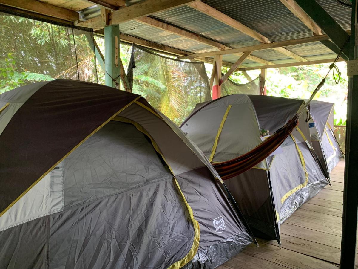Surf Camp Hotel Bocas Town Bagian luar foto