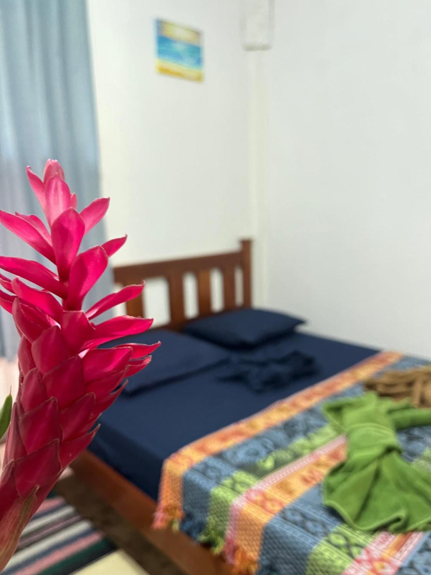 Surf Camp Hotel Bocas Town Bagian luar foto