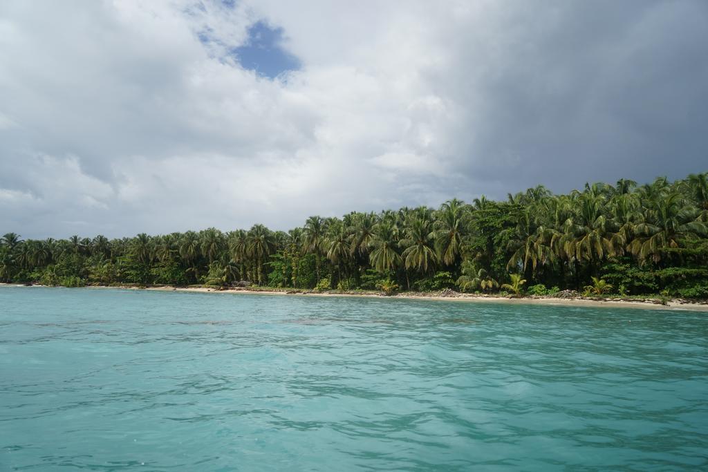 Surf Camp Hotel Bocas Town Bagian luar foto