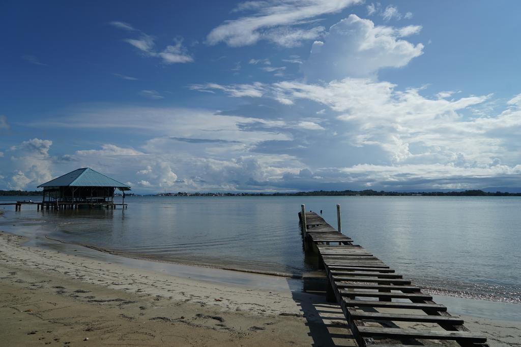 Surf Camp Hotel Bocas Town Bagian luar foto