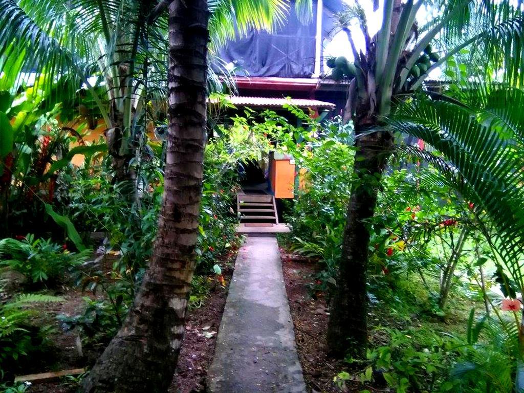 Surf Camp Hotel Bocas Town Bagian luar foto
